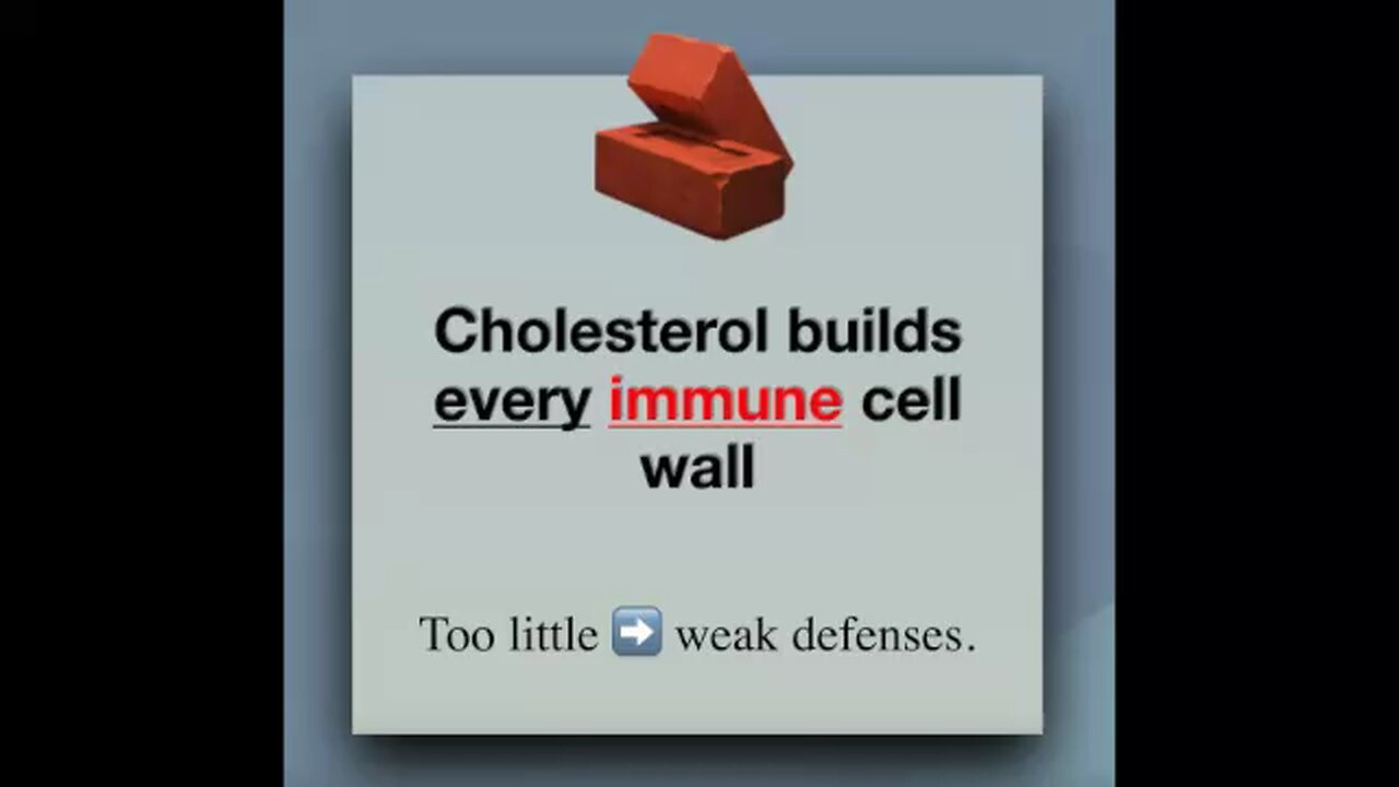 Cholesterol DEFENDS you — it builds every immune cell wall 🦸♂️🦸🏽♂️🦸🏼♀️🦸🏿