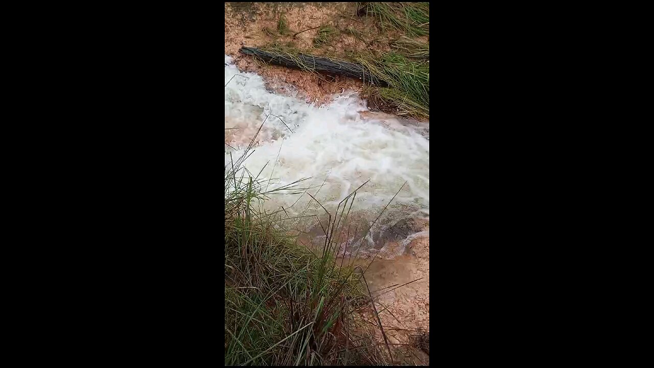 SÃO FÉLIX DO XINGU PARÁ BRASIL