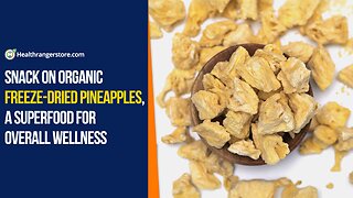 Snack on Organic Freeze-Dried Pineapples, a superfood for overall wellness