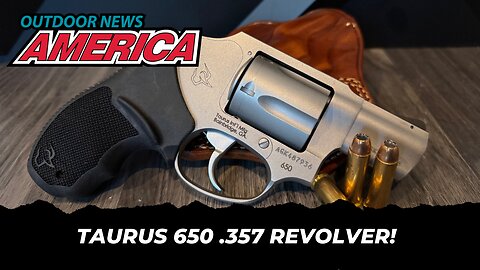 Taurus 650 Revolver