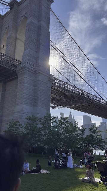 Summer Vibes under Brooklyn Bridge