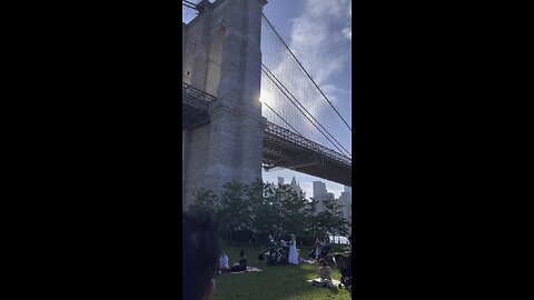 Summer Vibes under Brooklyn Bridge