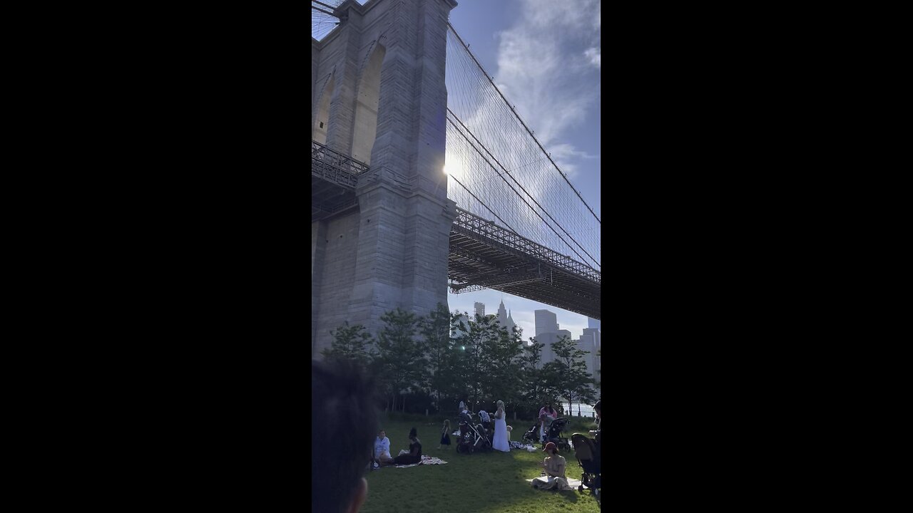 Summer Vibes under Brooklyn Bridge