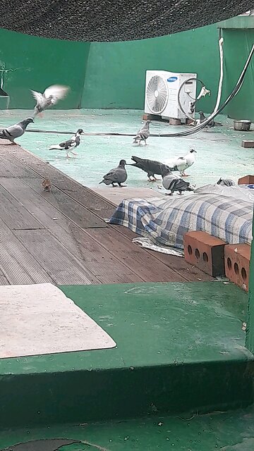 20251012. God Created the heavens and the earth.