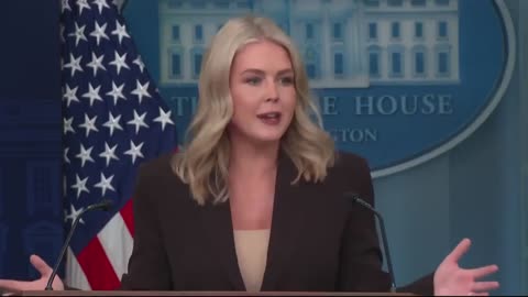 Karoline Leavitt tells CNN Kaitlin Collins to stop listening to Democrats who oppose Trump