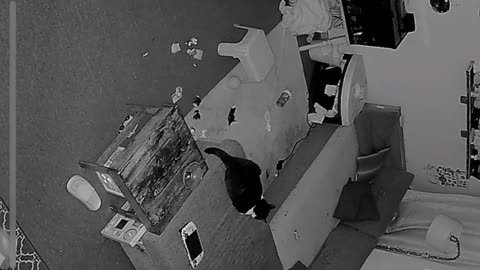 😱🧿 Bug or Orb? You Decide! Strange Path Caught on Camera | TheHauntingHour