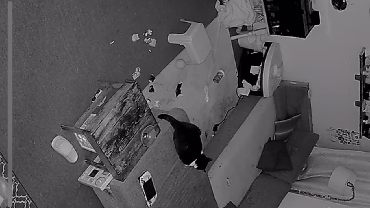 😱🧿 Bug or Orb? You Decide! Strange Path Caught on Camera | TheHauntingHour