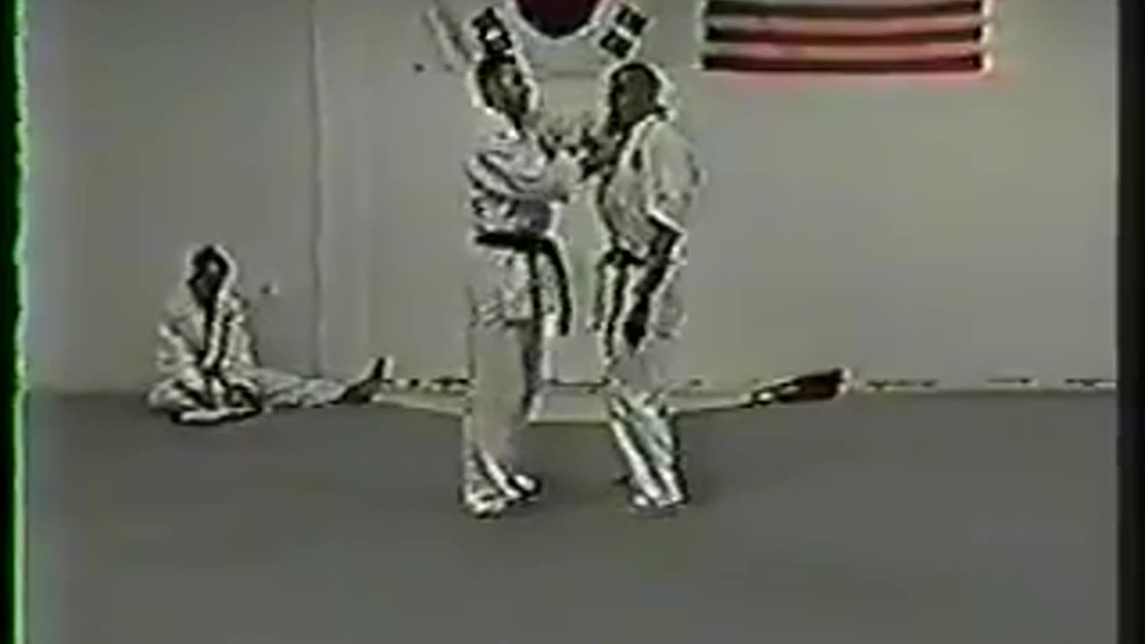 Sin Moo Hapkido