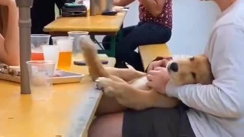 Best way to attract women. This just made my day.....😊