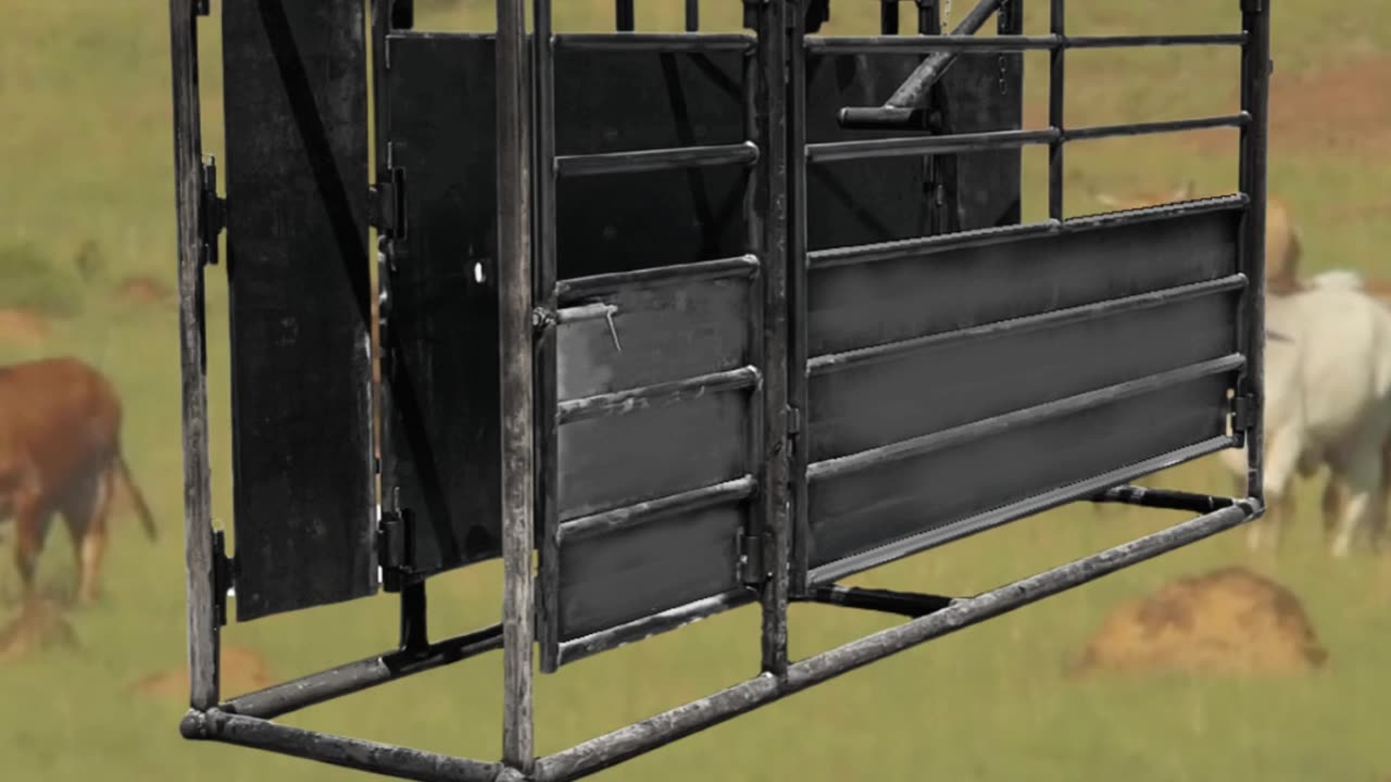 Superior Standard Adjustable Alleyway