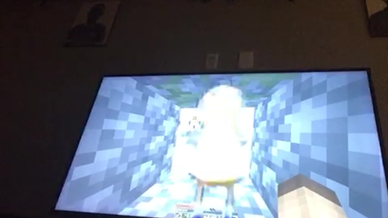 Minecraft video part six