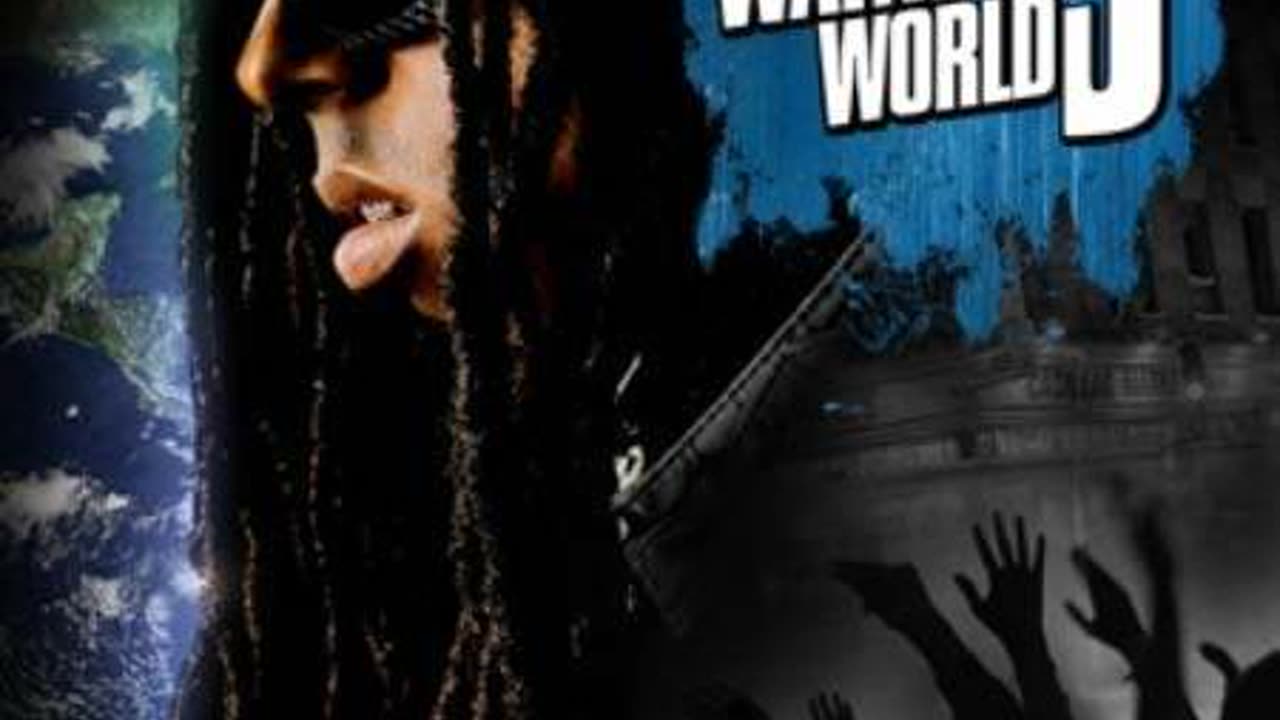 Lil Wayne Stupid Remix