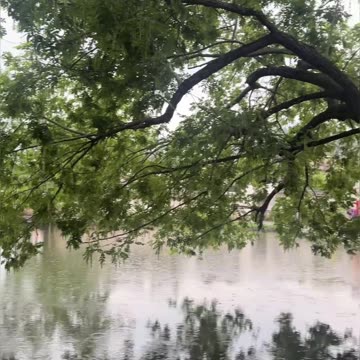 My Daily Life Vlog Short Clip Series Part 311 📷📷