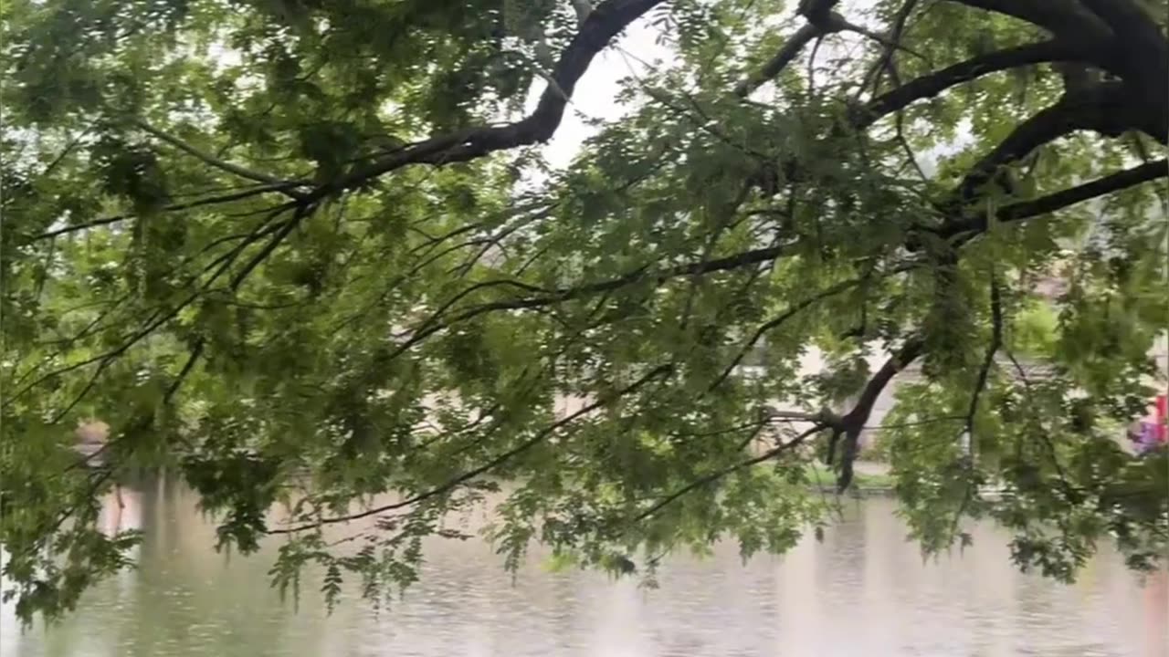 My Daily Life Vlog Short Clip Series Part 311 📷📷