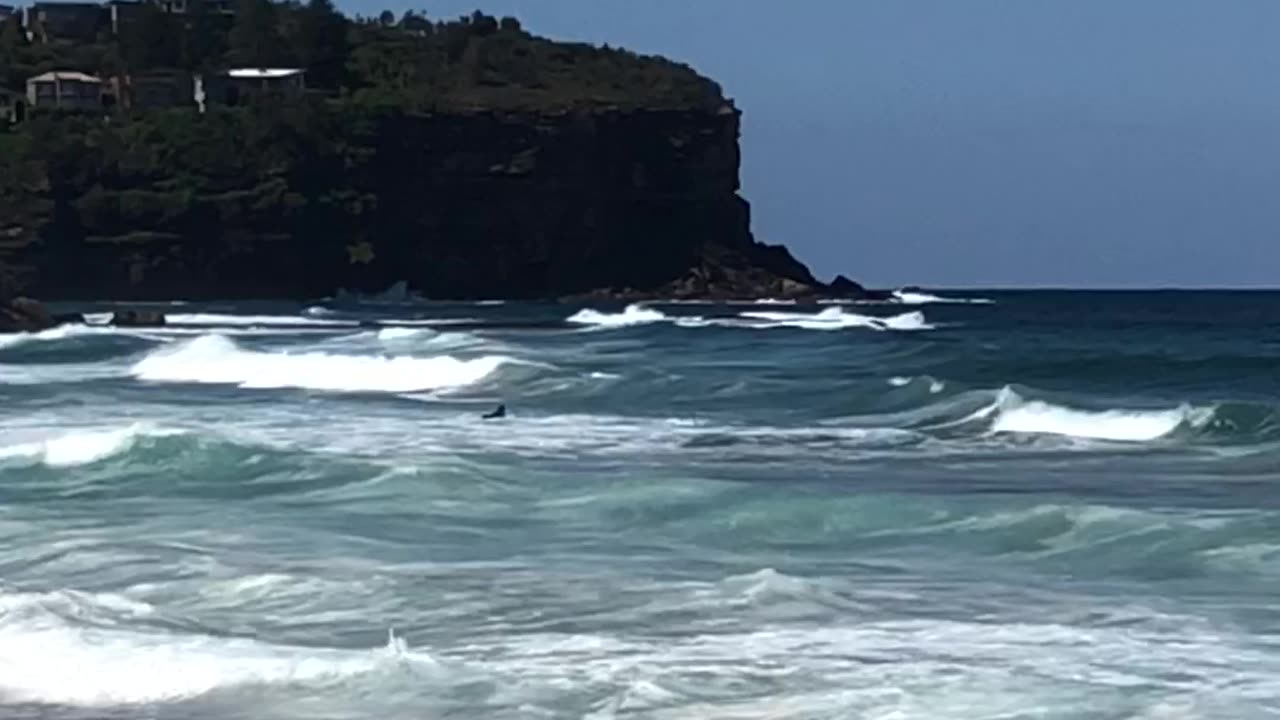 Newport Beach revisited