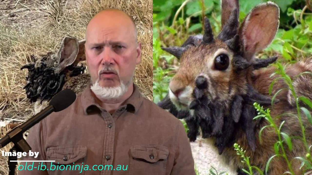 Episode 18 - The Return of Babel p1