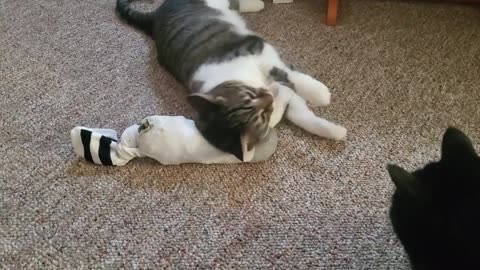 Nipped Out