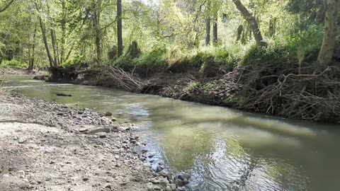 Relaxing Creek Time
