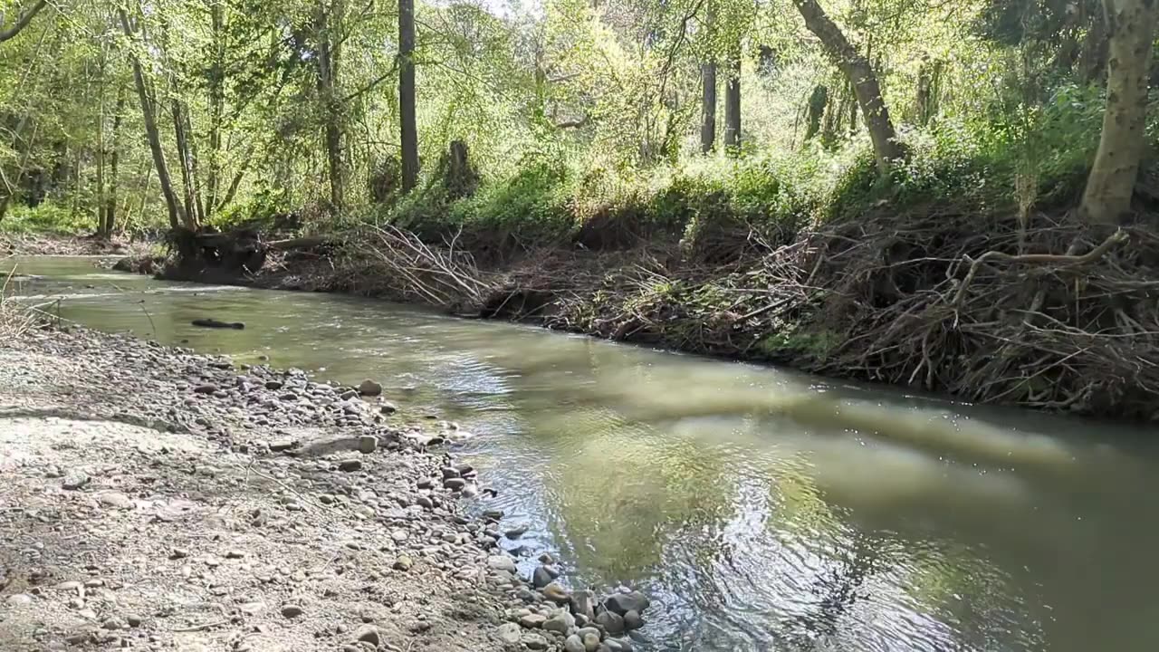Relaxing Creek Time