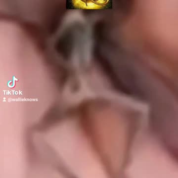 Real of fake WTF is this