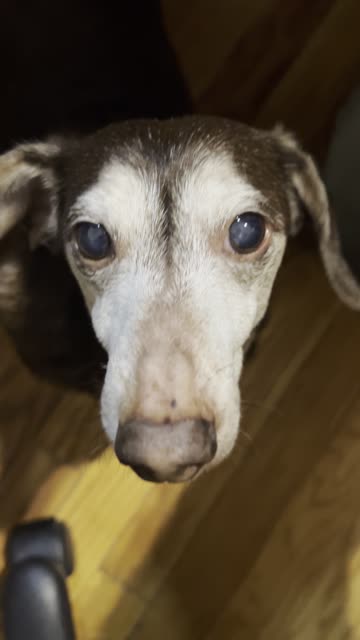 Does he look like....