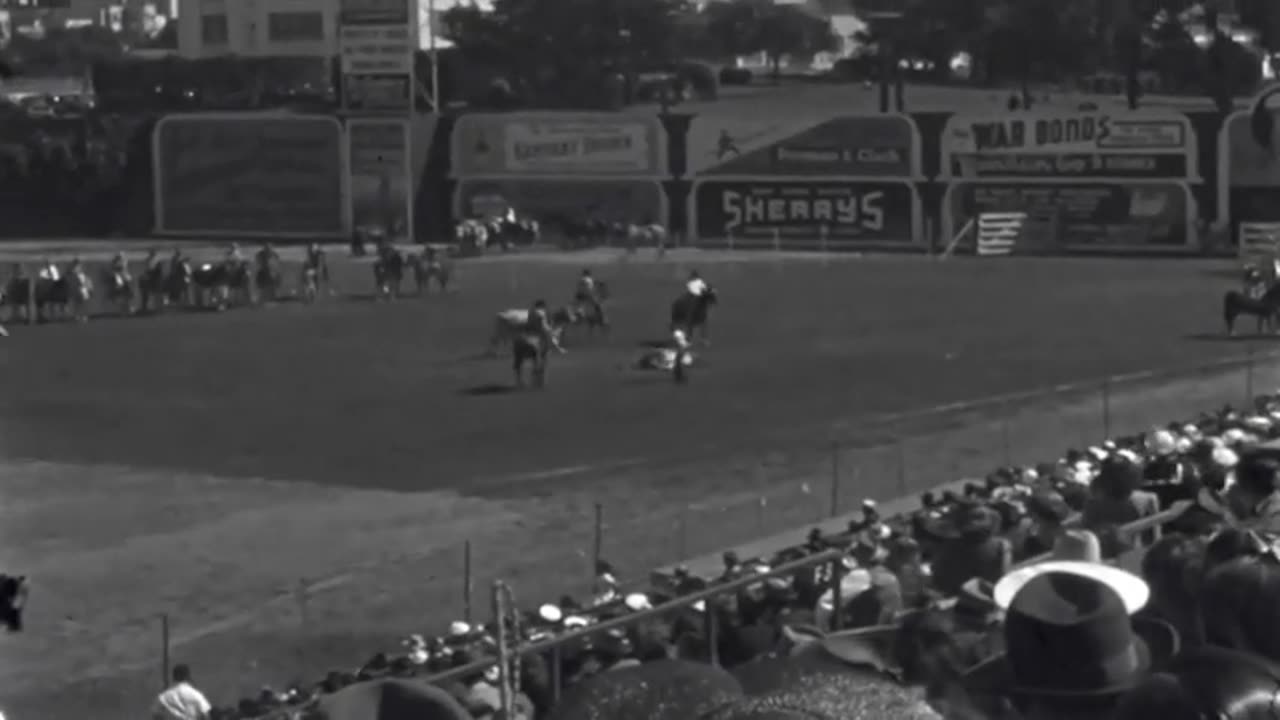 Seals Stadium Rodeo, 1950s: A Unique Gathering