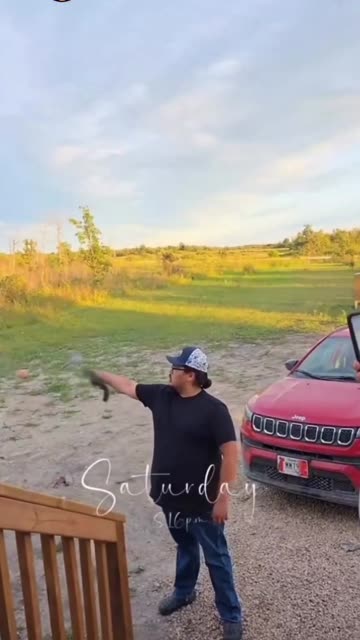 Gator don't fuck around