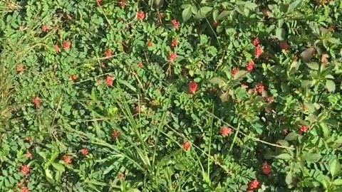 Daily Horoscope | Taurus 🌟