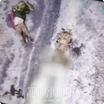 Warning! Brutal Vog Drop