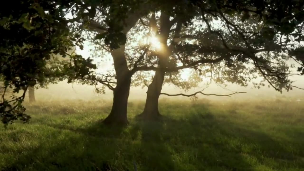 Rules for Prosperity