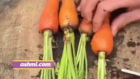 सर्दियों का सुपरफूड: गाजर! 💥🥕