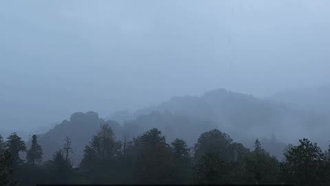 Daily Horoscope | Capricorn 🌟