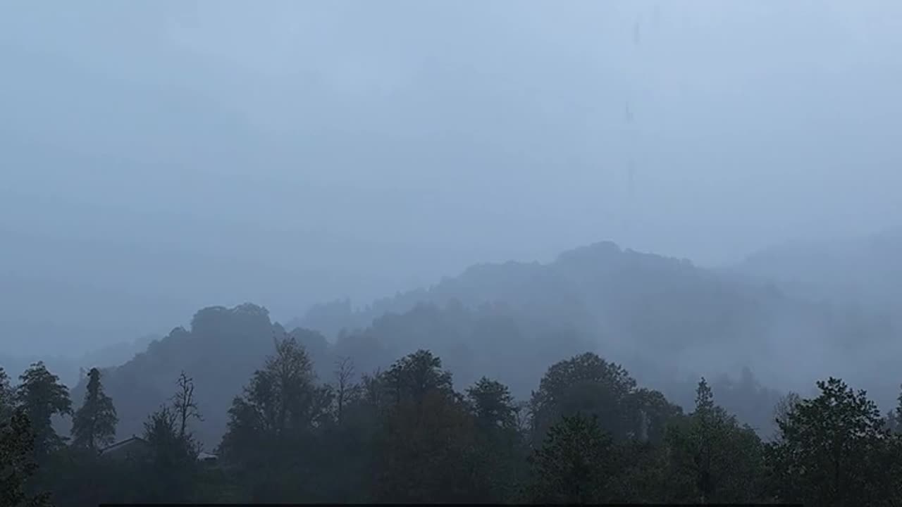 Daily Horoscope | Capricorn 🌟