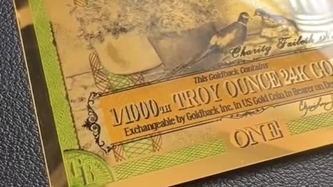 V31 Goldbacks are a form of gold that anyone can understand. Easy to count, store, gift or spend.