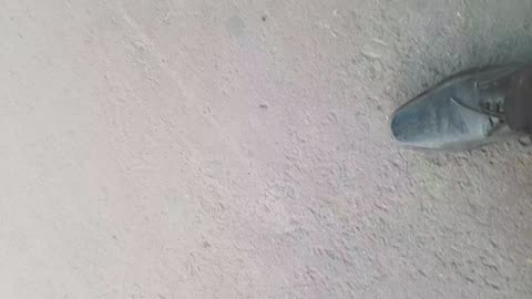 लखनऊ स्टेशन