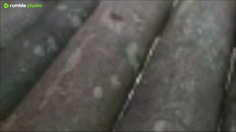 kids video"Viral video editing In foryou," In life success Many Arne Live