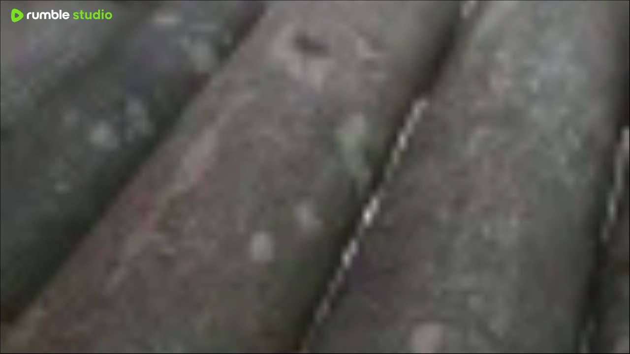 kids video"Viral video editing In foryou," In life success Many Arne Live