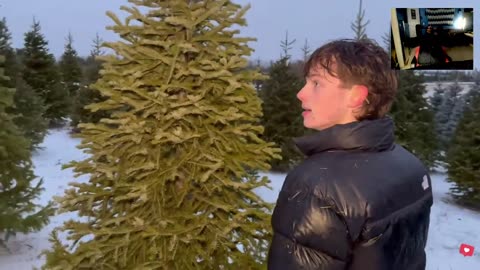 reacting to Kalogeras Sisters CUT THEIR OWN CHRISTMAS TREE!