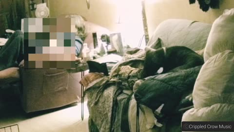 😨🐕 Pup Gets Popped By Unseen Force! Terrifying Paranormal Event | TheHauntingHour