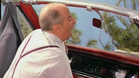 sur un arbre perche french