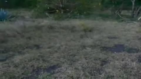 OVNI a 1 METRO de Distancia