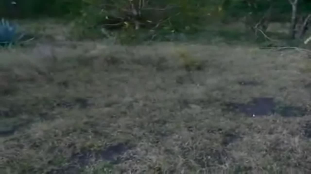 OVNI a 1 METRO de Distancia