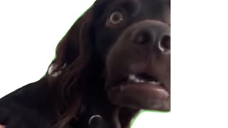 Thanksgiving tips for in-laws