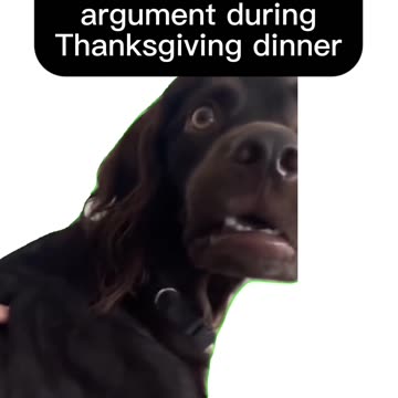 Thanksgiving tips for in-laws