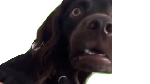 Thanksgiving tips for in-laws