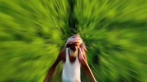 “A Day in the Village Fishing and Kantha Stitching”