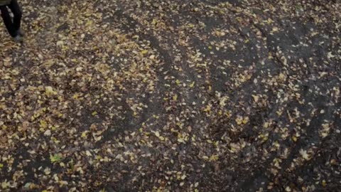 This 8 year old Netflix series is still better than most new shows