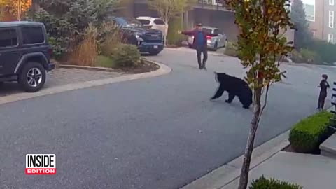 A 7-year-old boy encountered a giant bear while riding a scooter