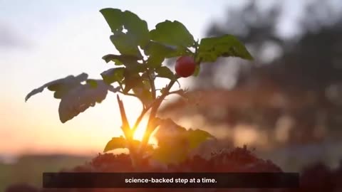 5 natural ingredients that can bring dead soil back to life