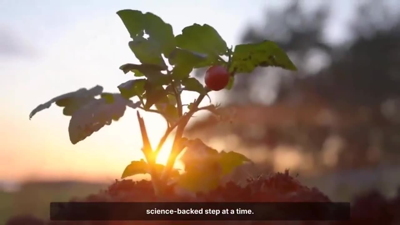 5 natural ingredients that can bring dead soil back to life